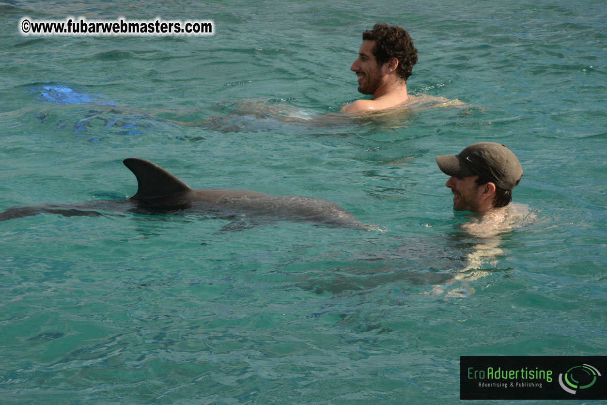 WireCard Dolphin Swim