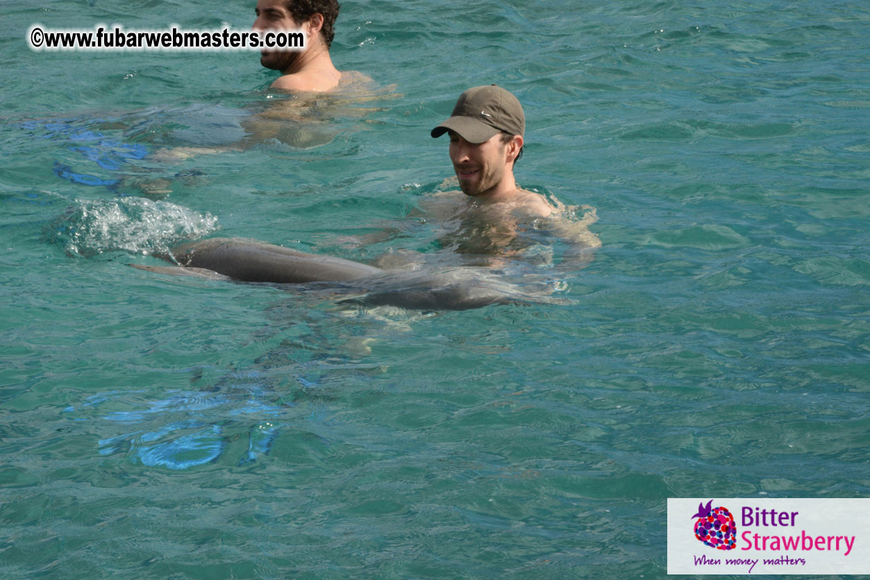 WireCard Dolphin Swim