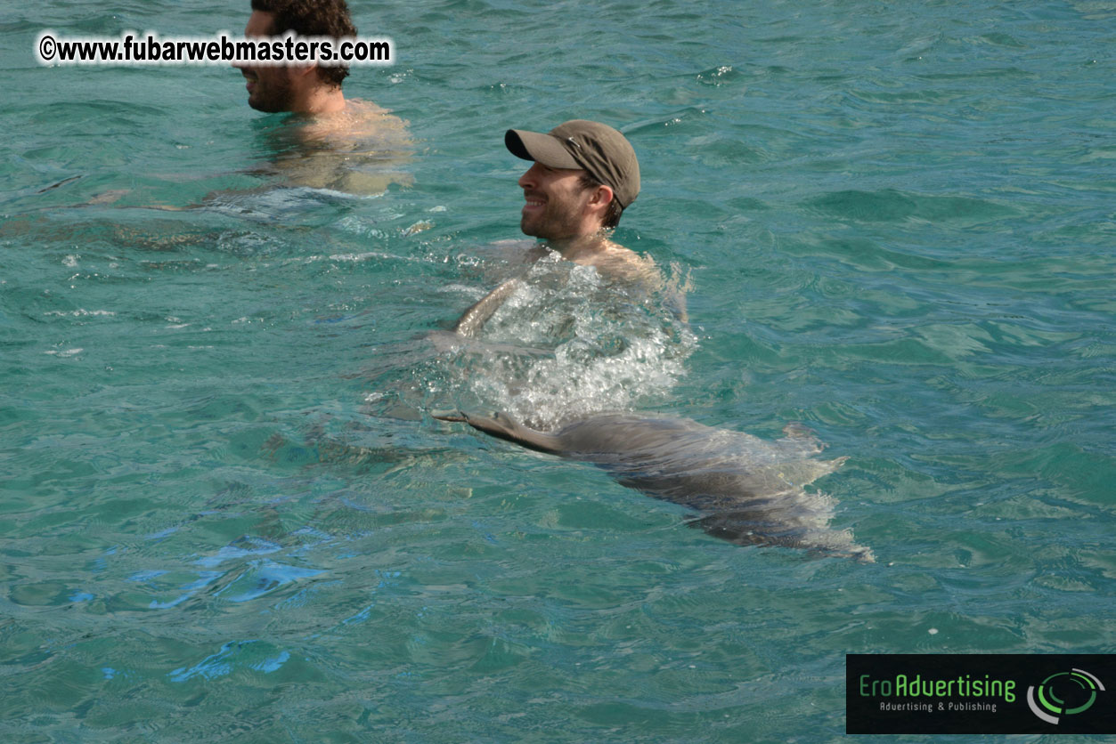 WireCard Dolphin Swim