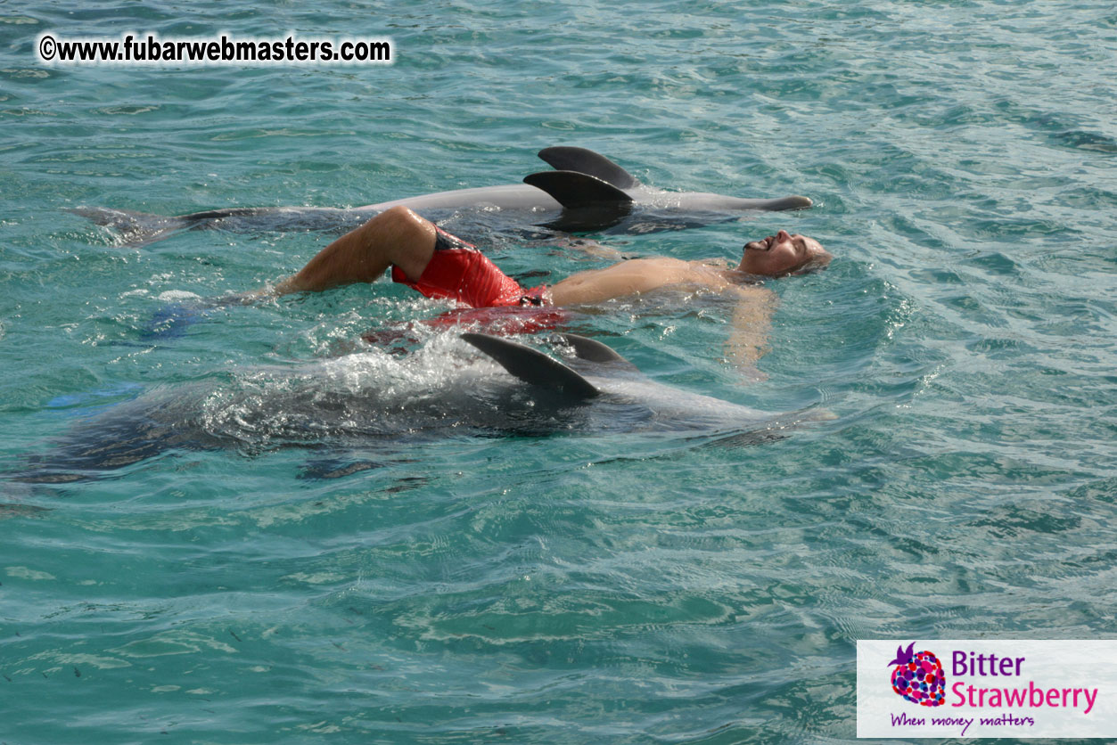 WireCard Dolphin Swim