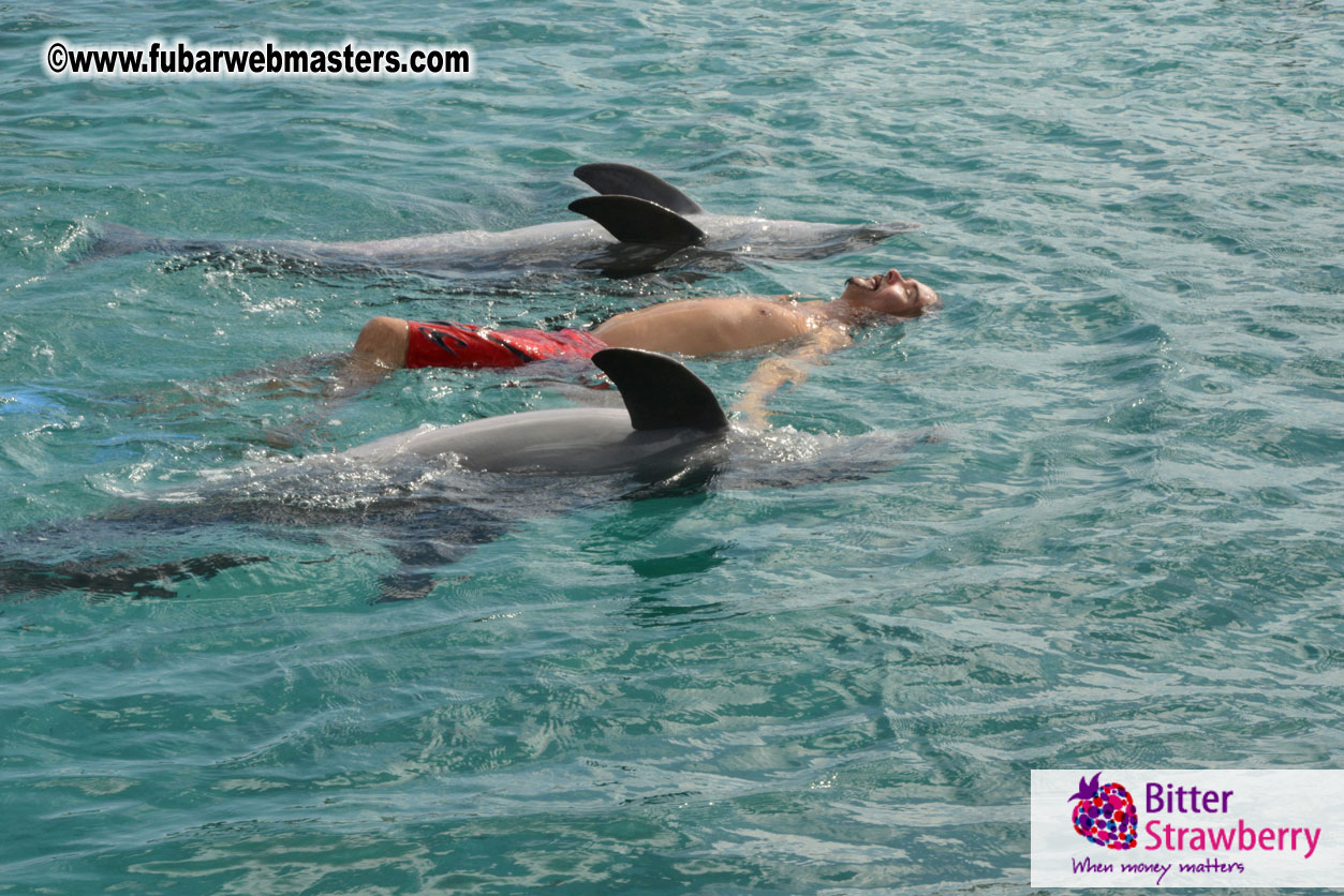 WireCard Dolphin Swim