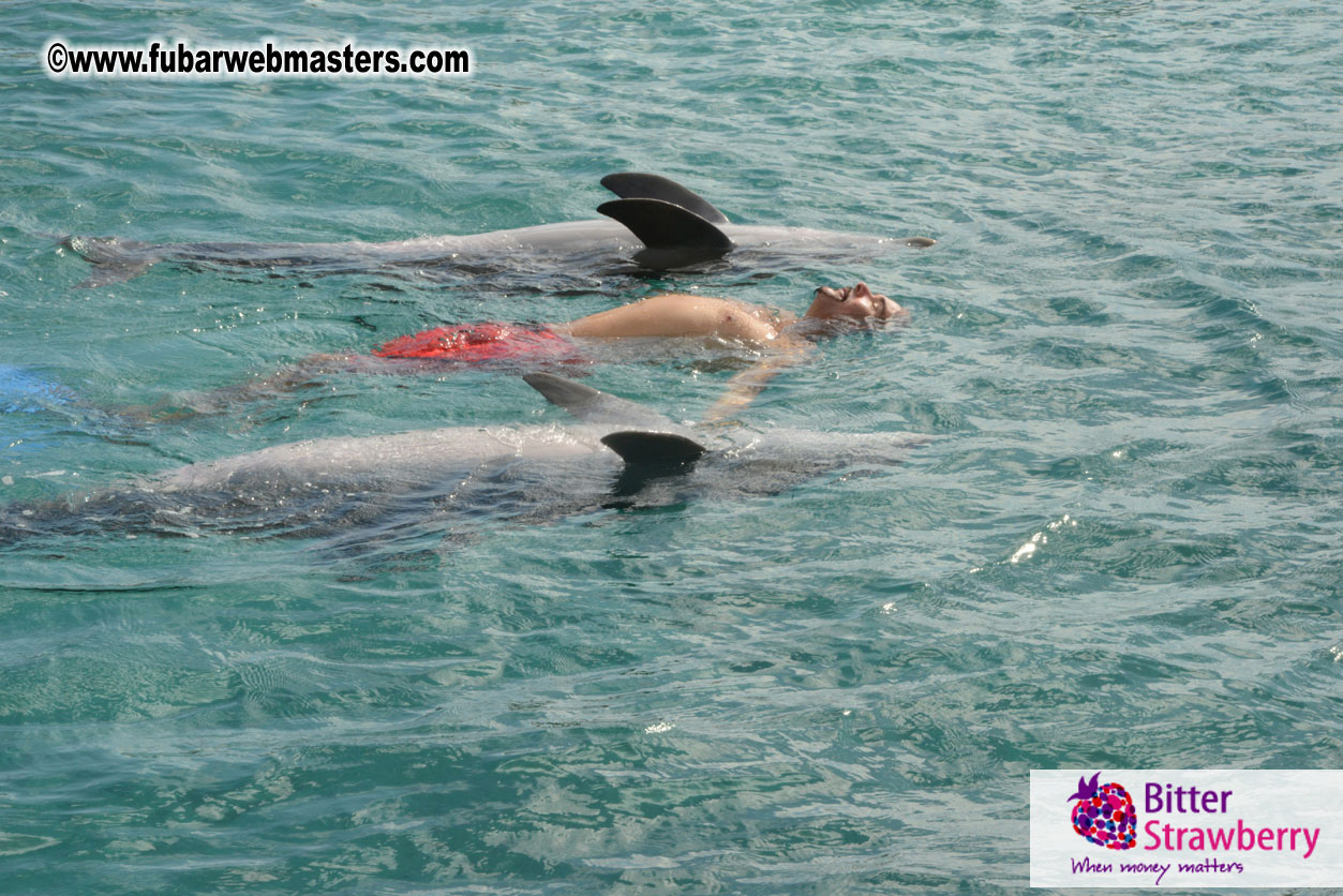 WireCard Dolphin Swim