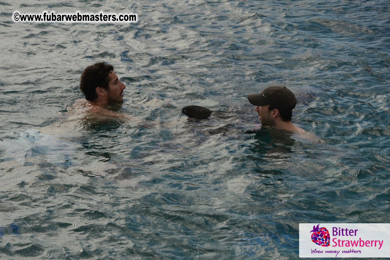 WireCard Dolphin Swim