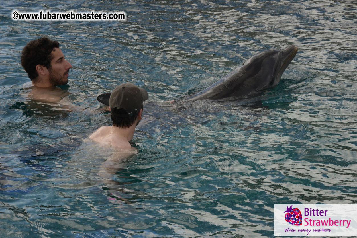 WireCard Dolphin Swim