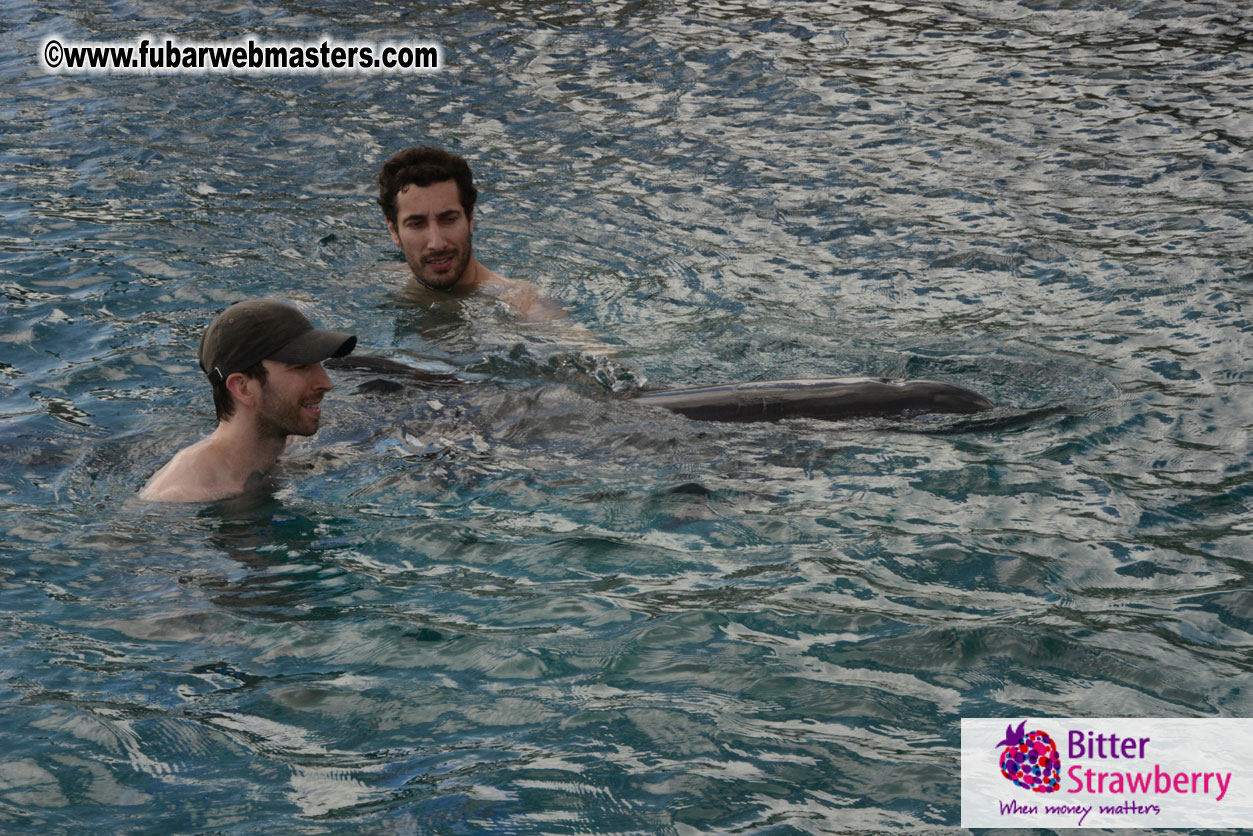 WireCard Dolphin Swim