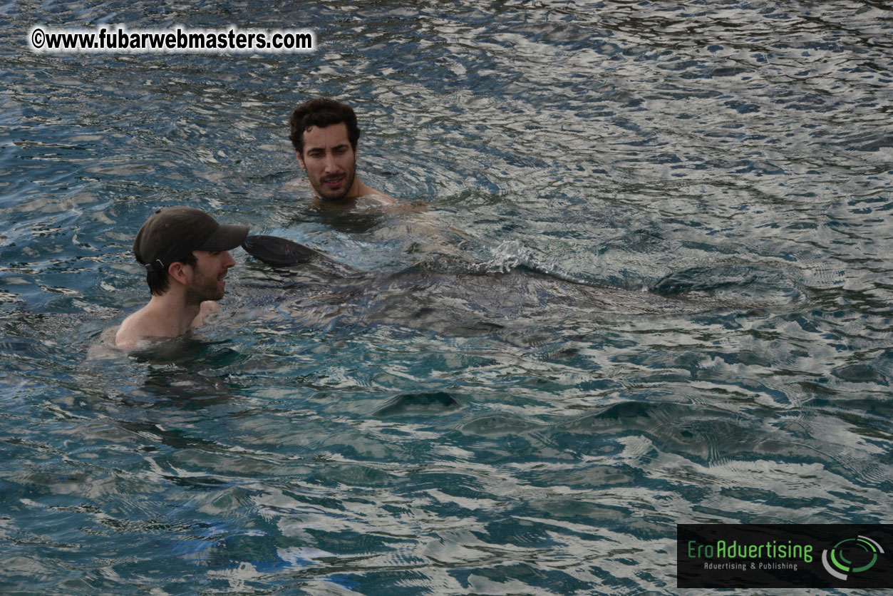 WireCard Dolphin Swim