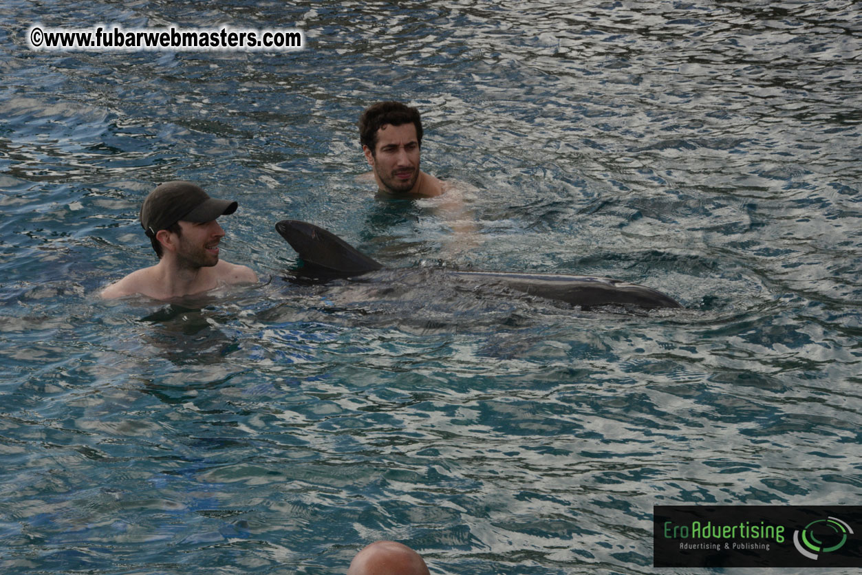 WireCard Dolphin Swim