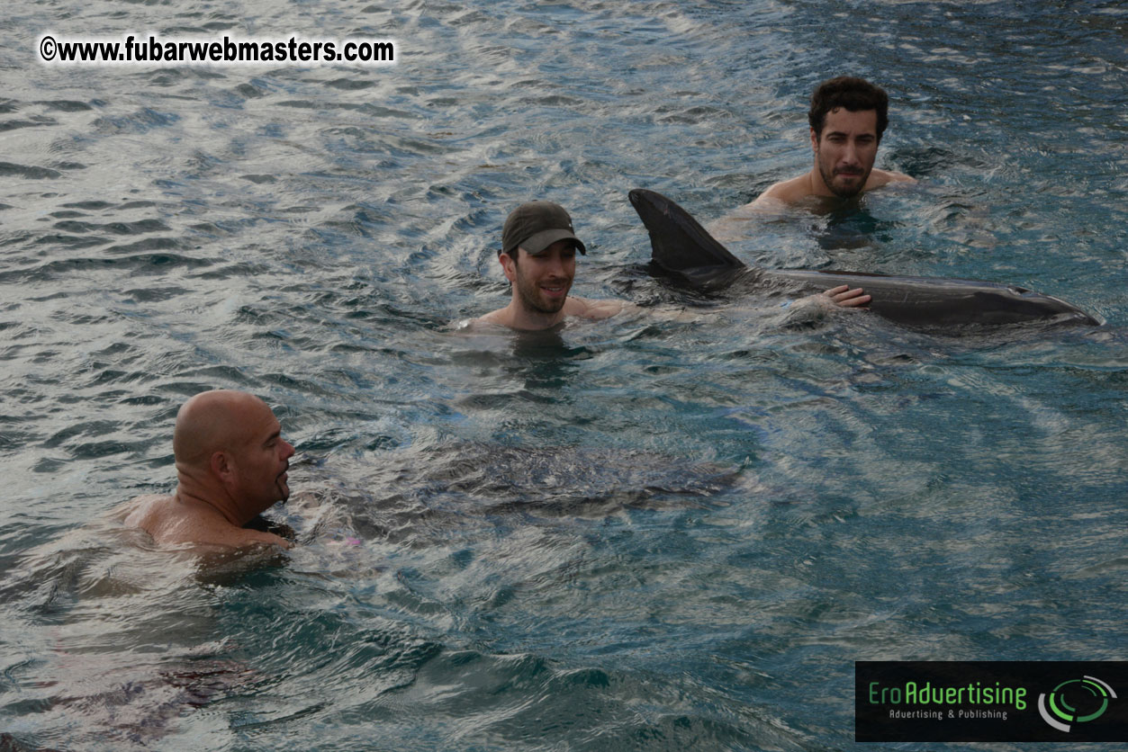 WireCard Dolphin Swim