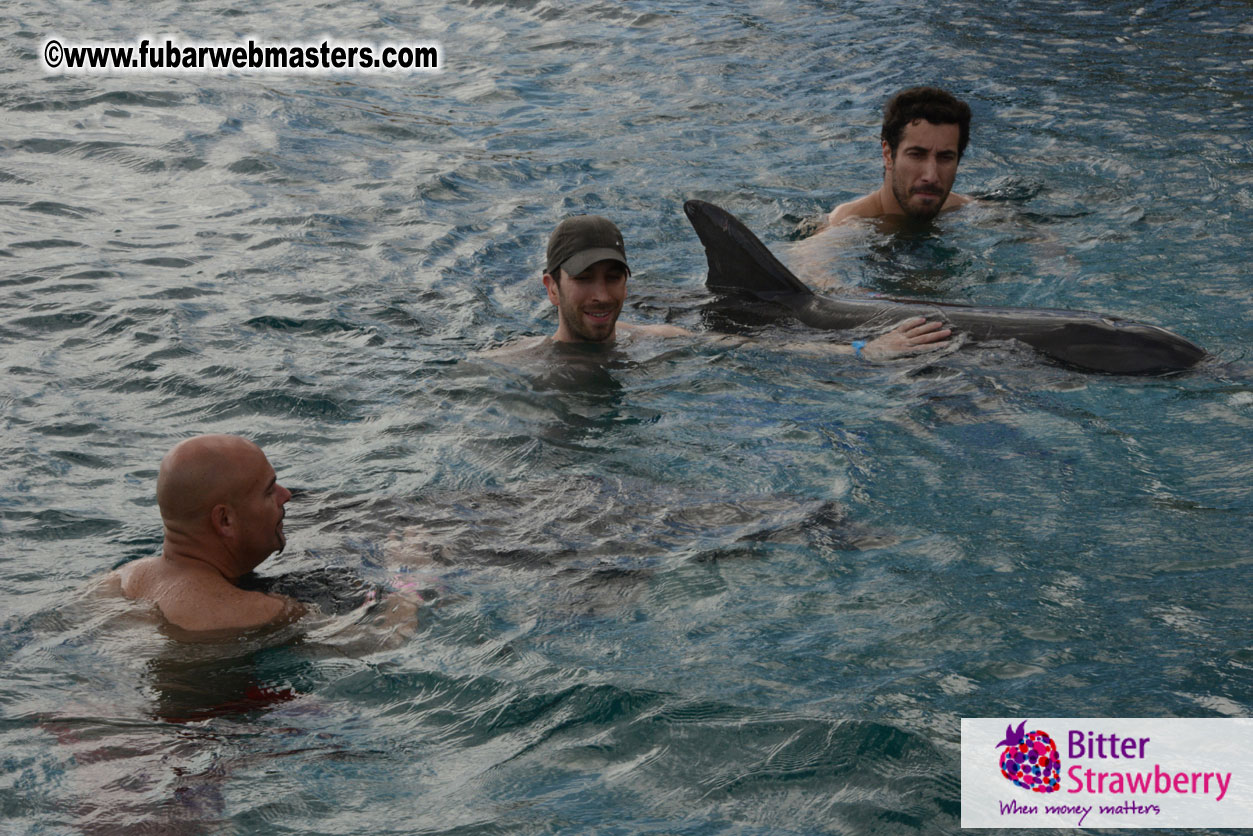 WireCard Dolphin Swim