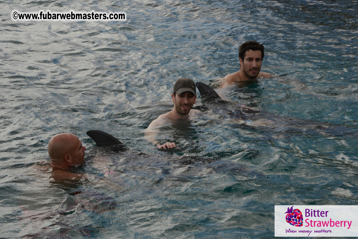 WireCard Dolphin Swim