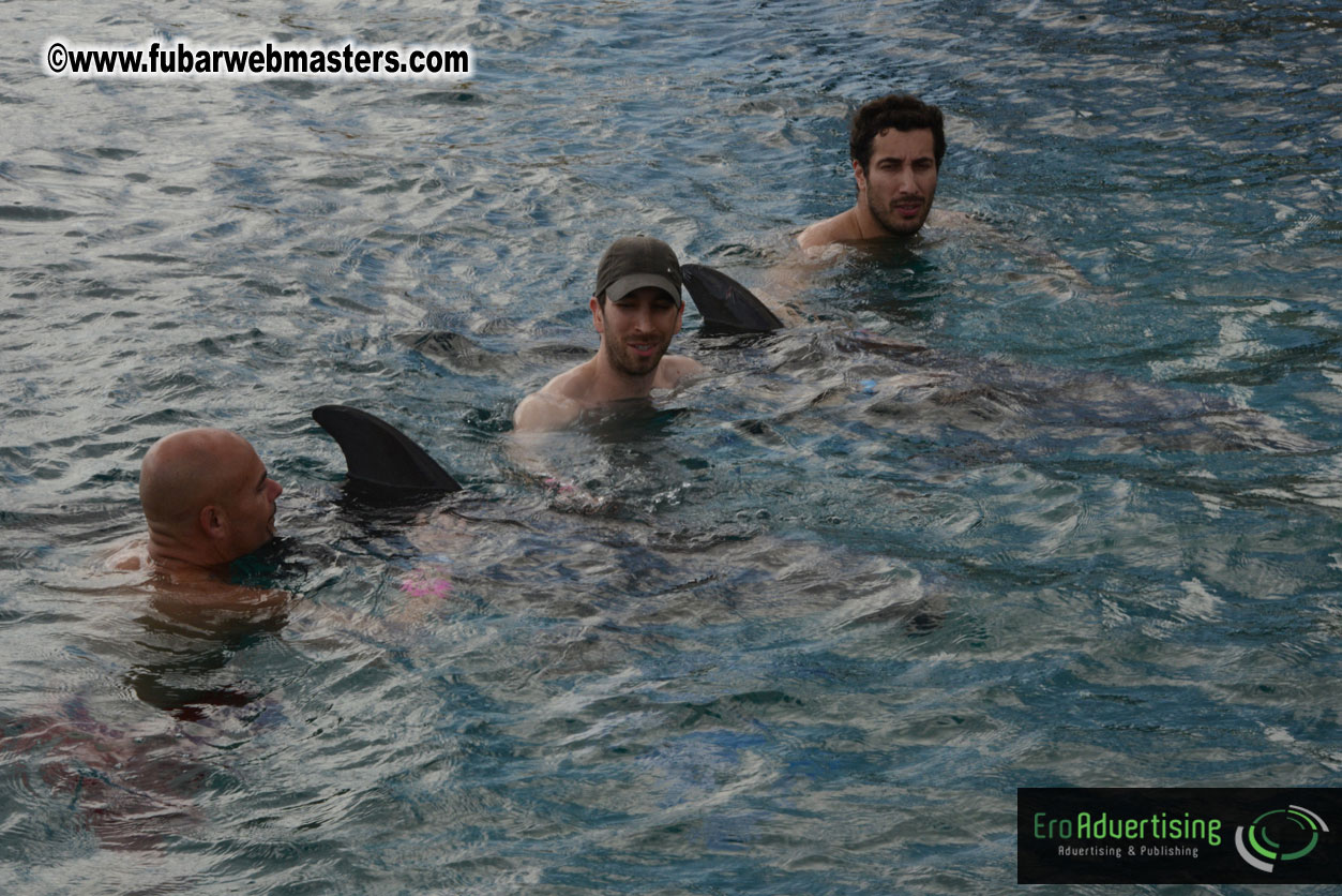 WireCard Dolphin Swim