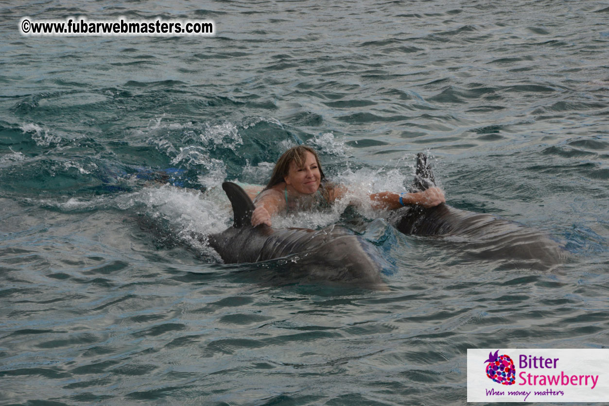 WireCard Dolphin Swim