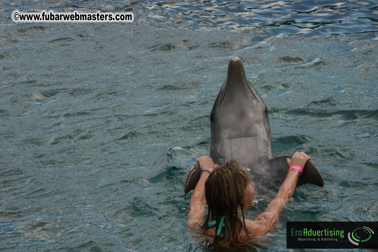 WireCard Dolphin Swim