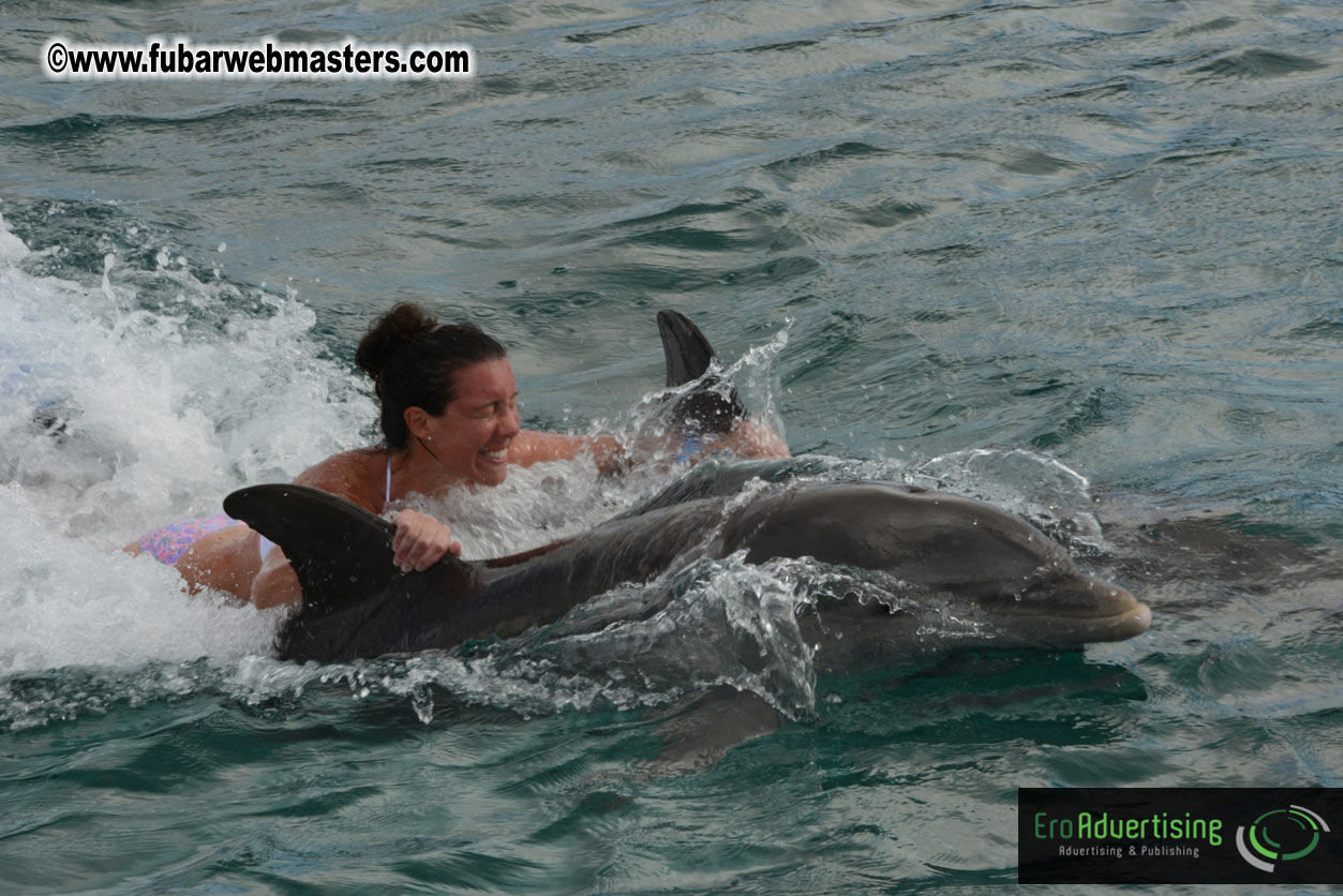 WireCard Dolphin Swim