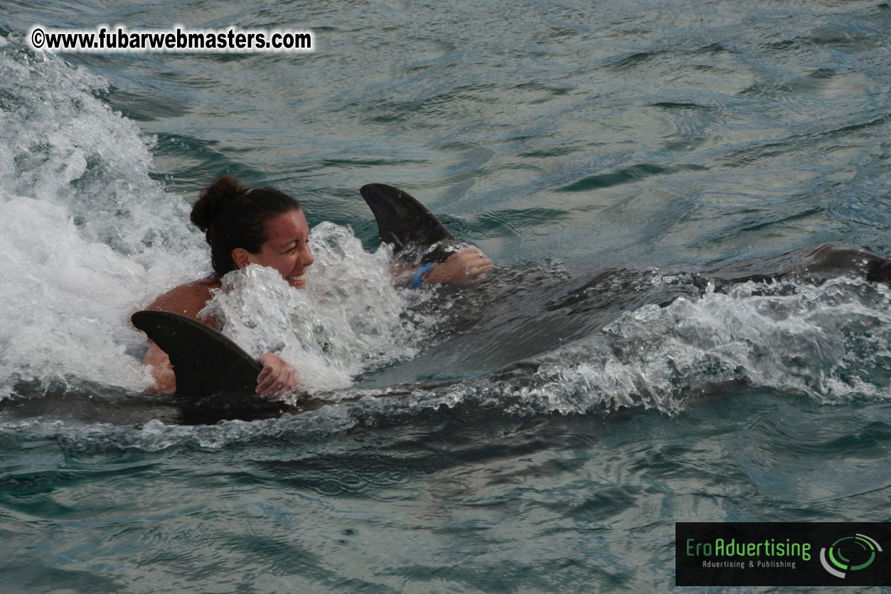 WireCard Dolphin Swim