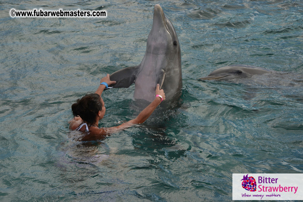 WireCard Dolphin Swim