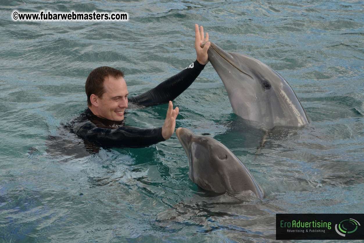 WireCard Dolphin Swim