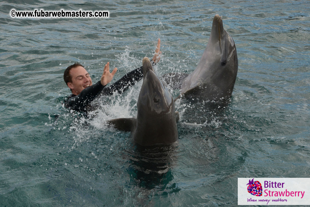 WireCard Dolphin Swim