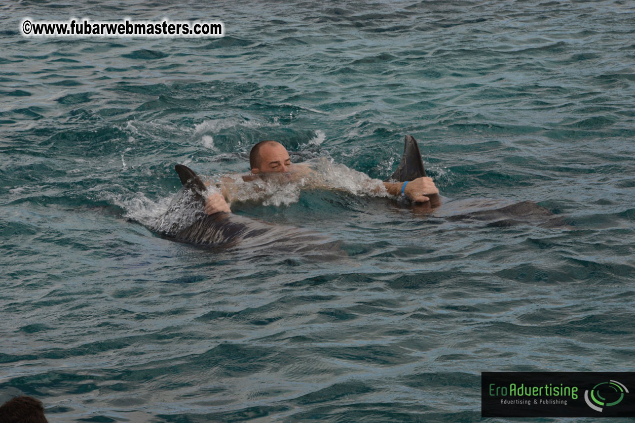 WireCard Dolphin Swim