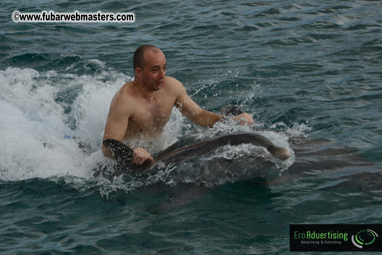 WireCard Dolphin Swim