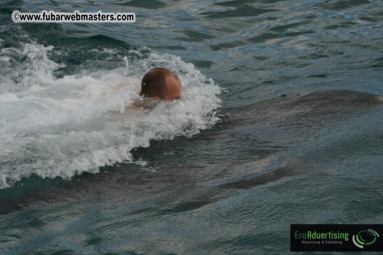 WireCard Dolphin Swim