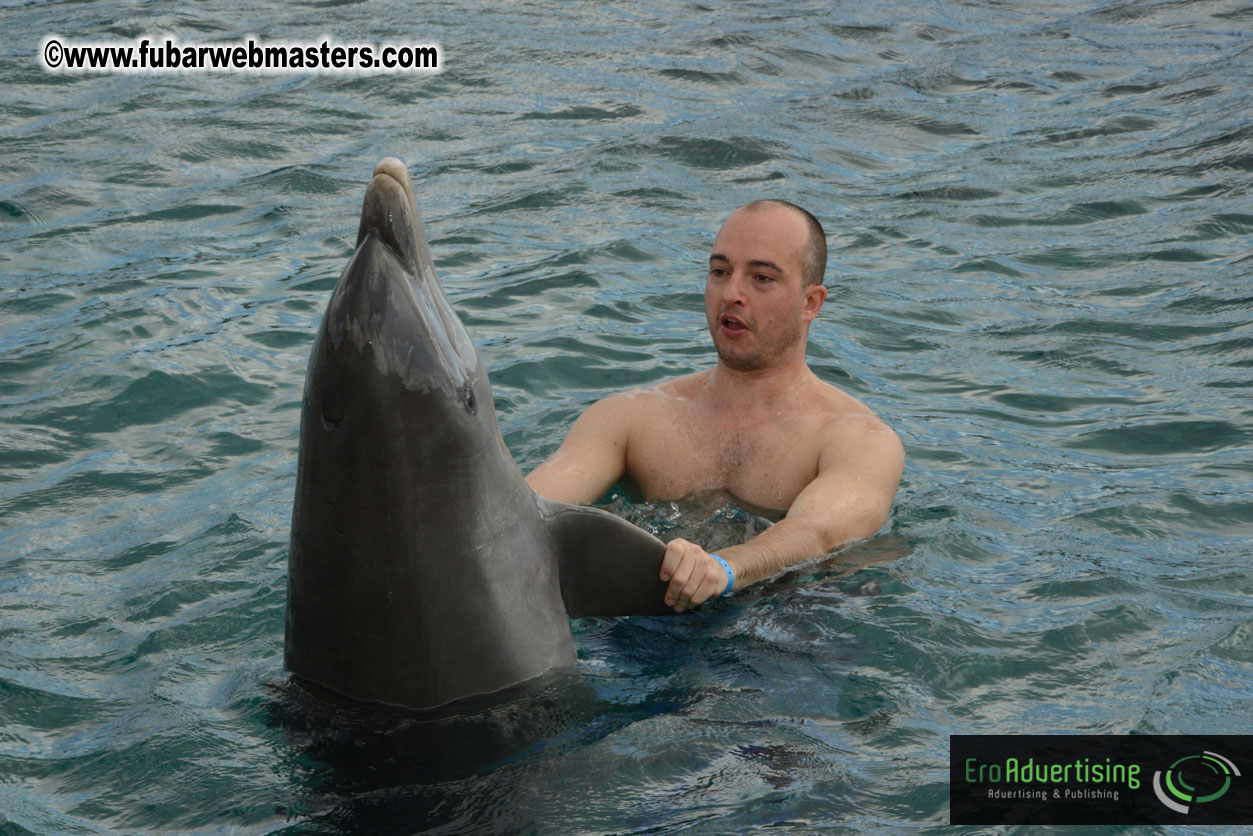 WireCard Dolphin Swim