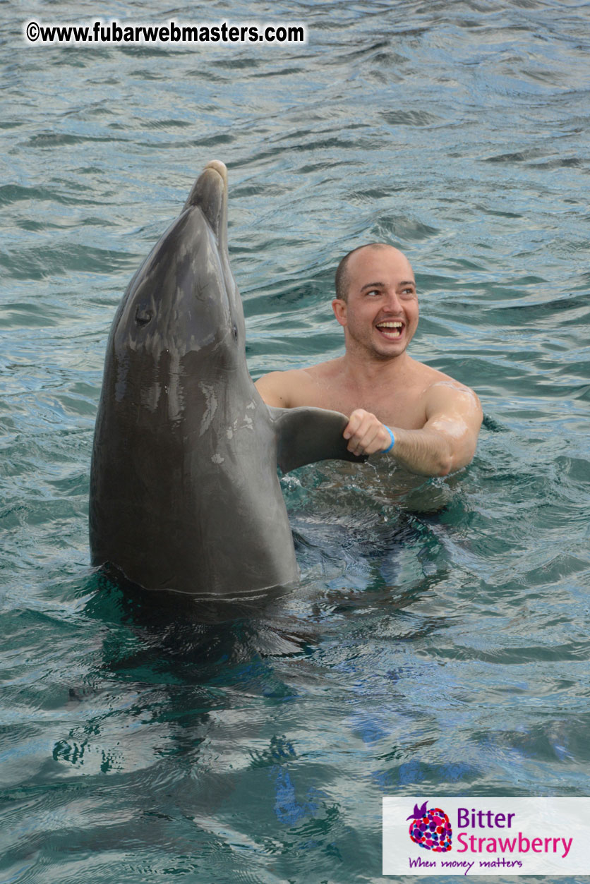 WireCard Dolphin Swim