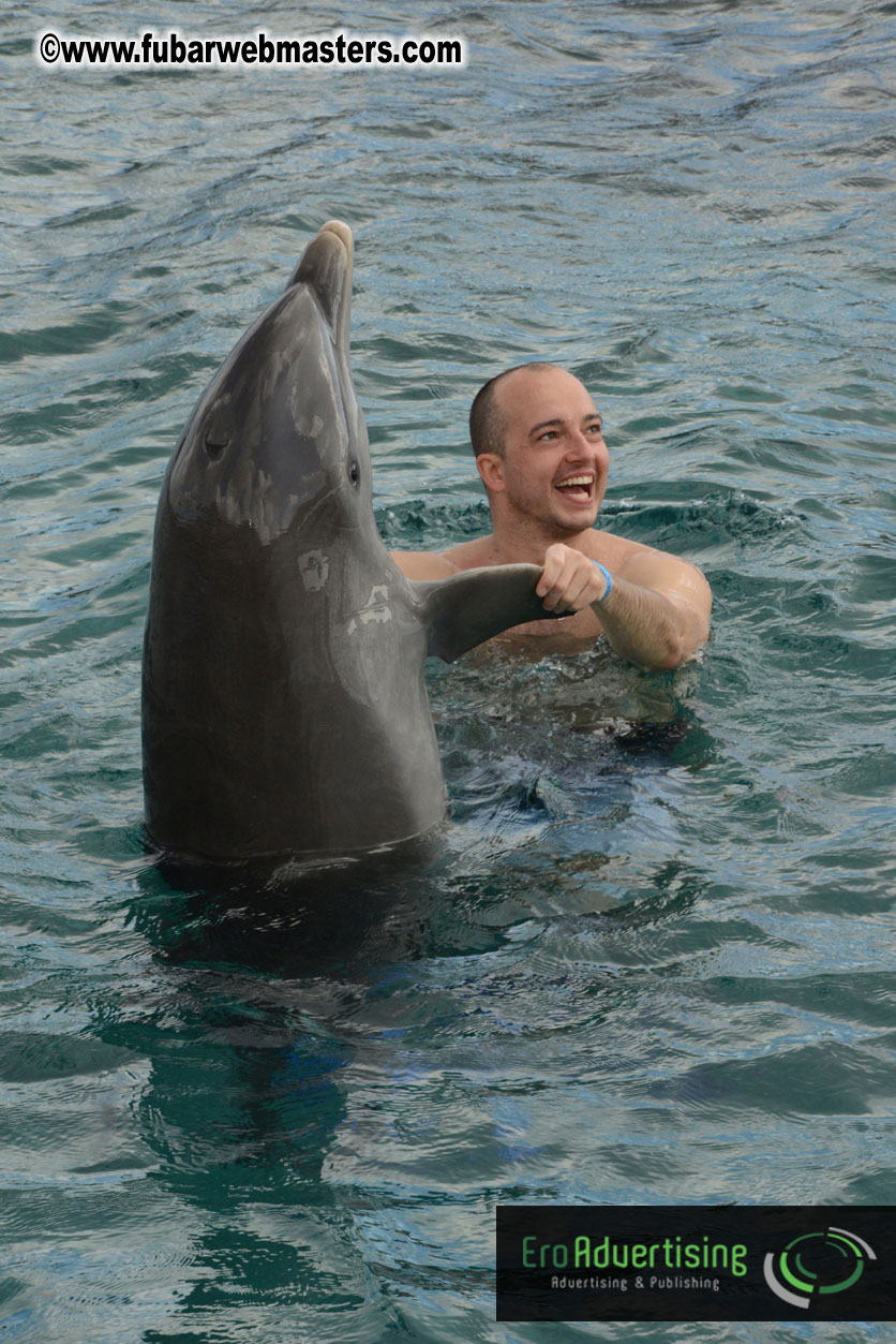 WireCard Dolphin Swim