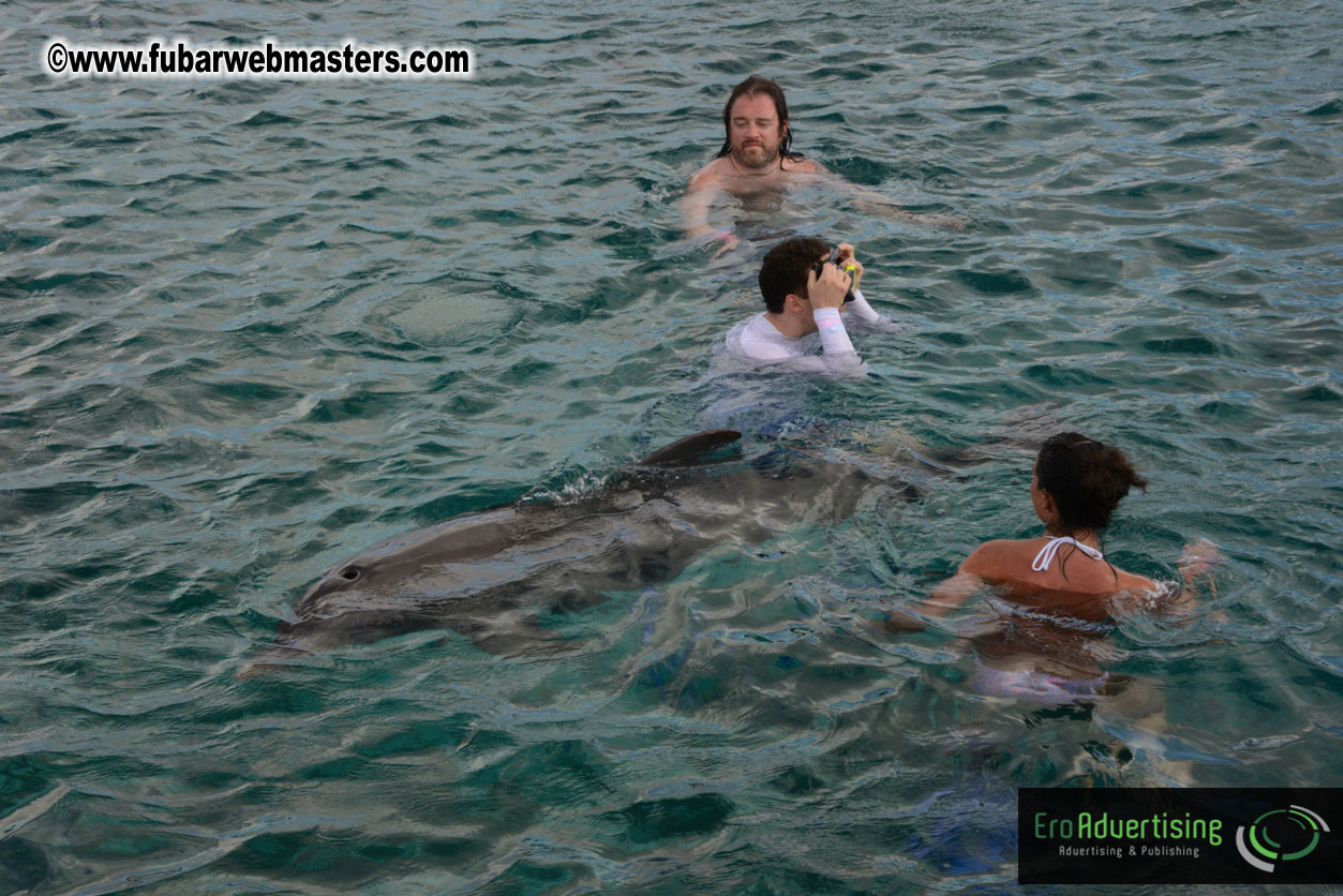 WireCard Dolphin Swim