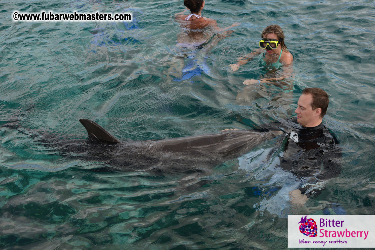 WireCard Dolphin Swim