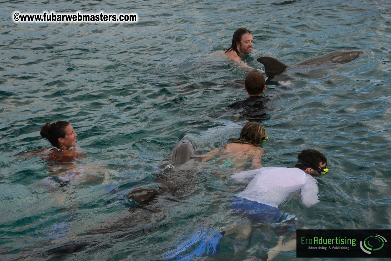 WireCard Dolphin Swim