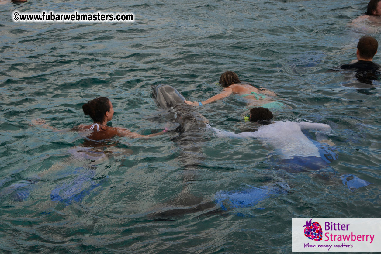 WireCard Dolphin Swim