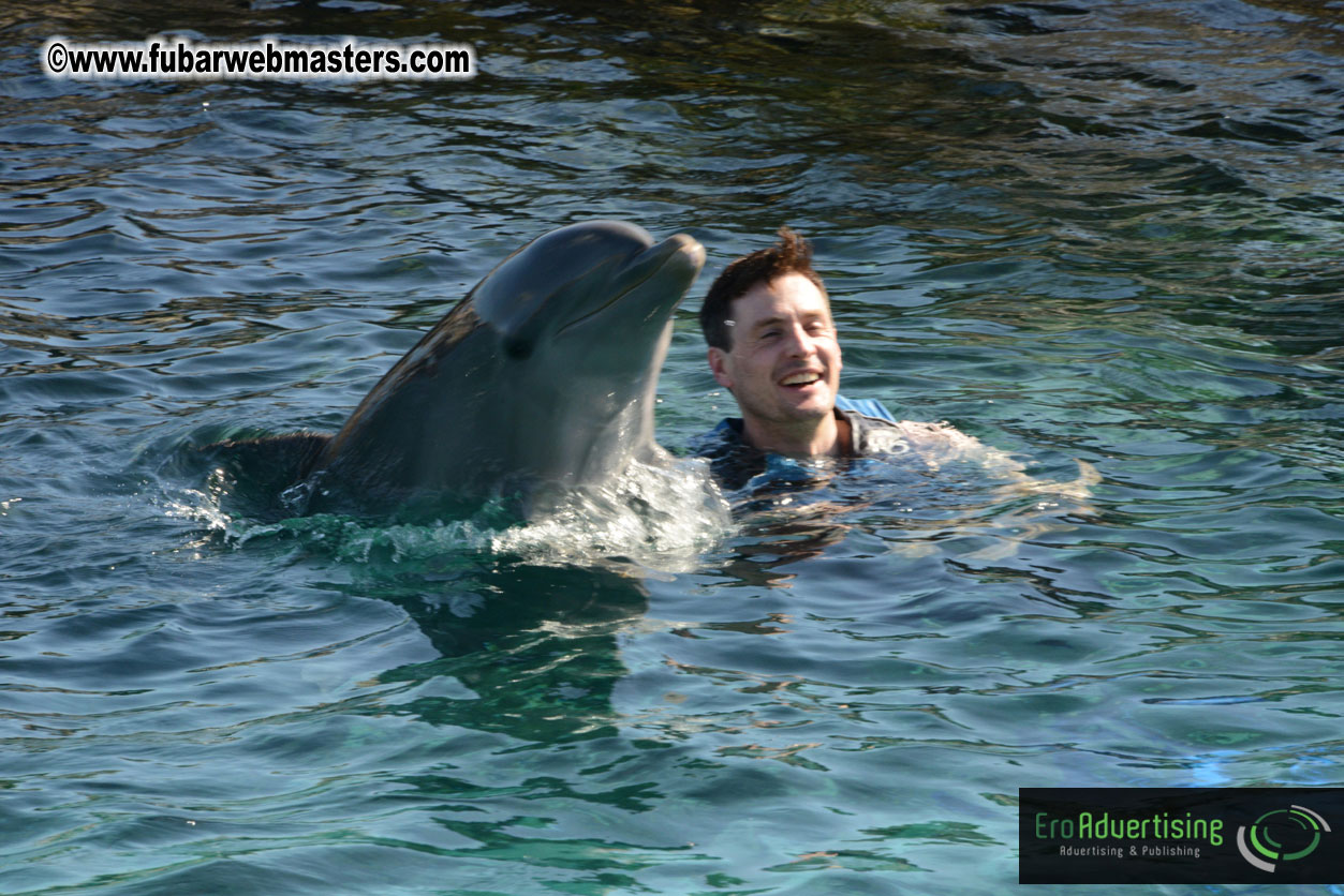 PussyCash Dolphin Swim 