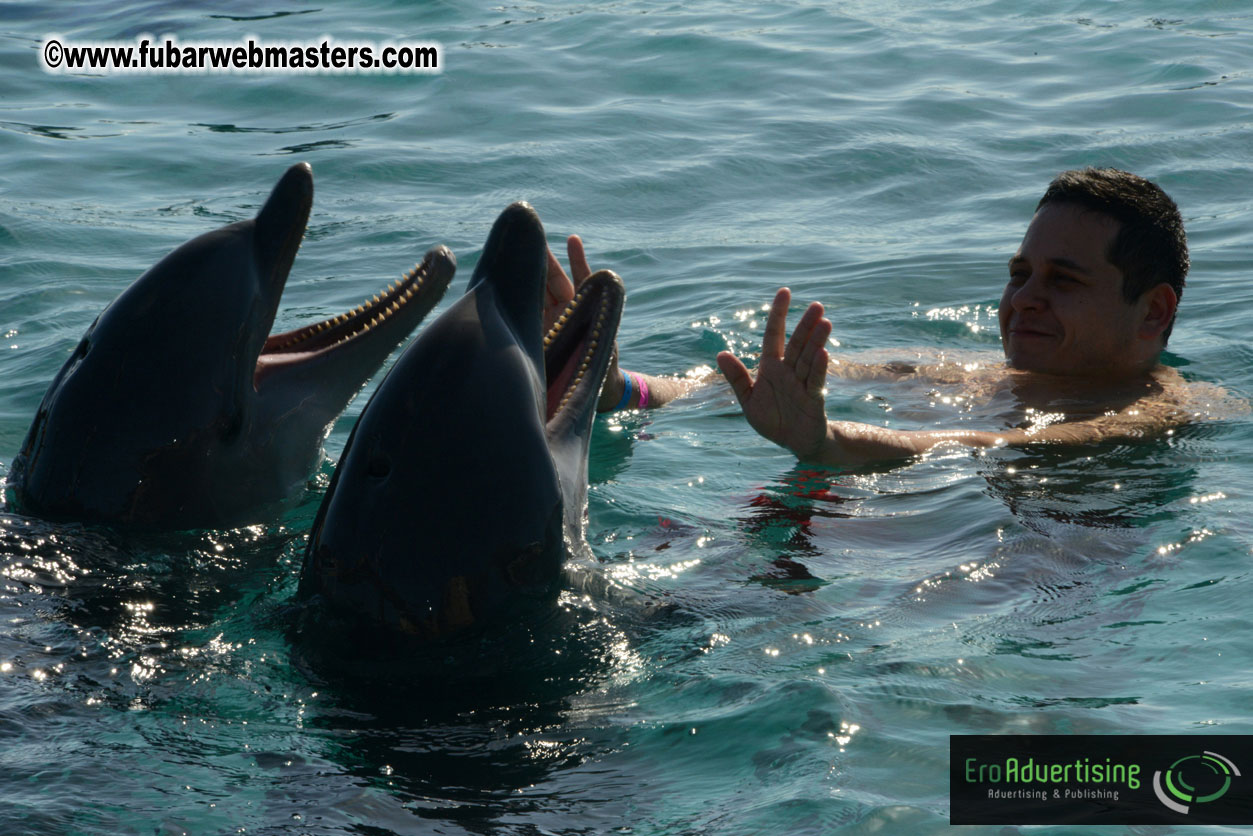 PussyCash Dolphin Swim 