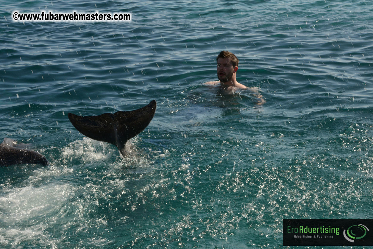 PussyCash Dolphin Swim 