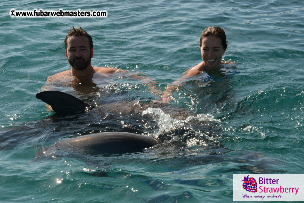 PussyCash Dolphin Swim 