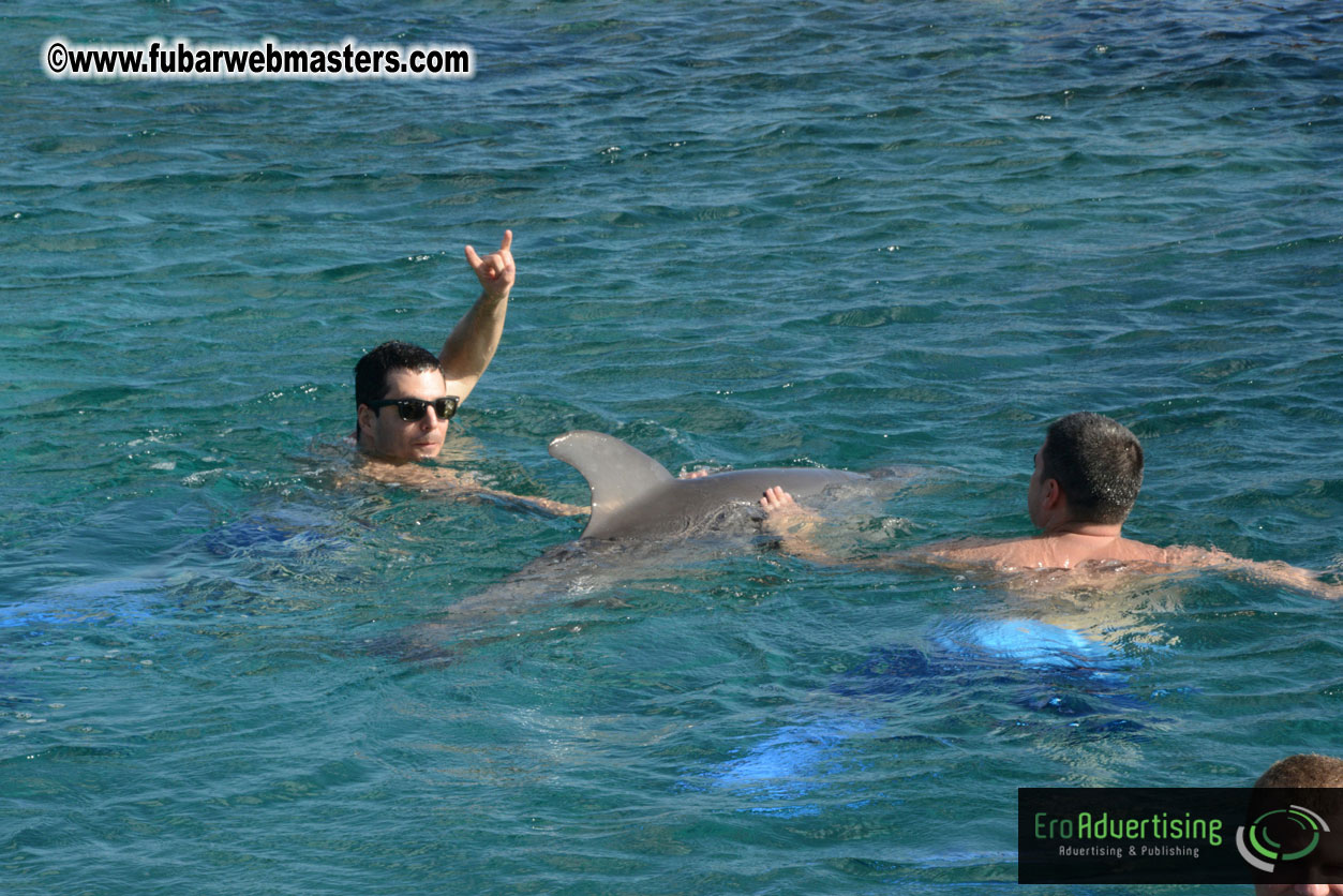 PussyCash Dolphin Swim 