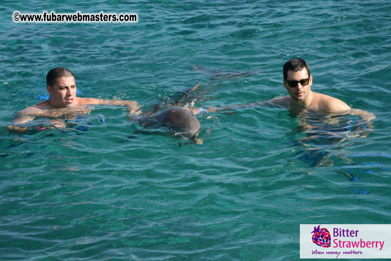 PussyCash Dolphin Swim 