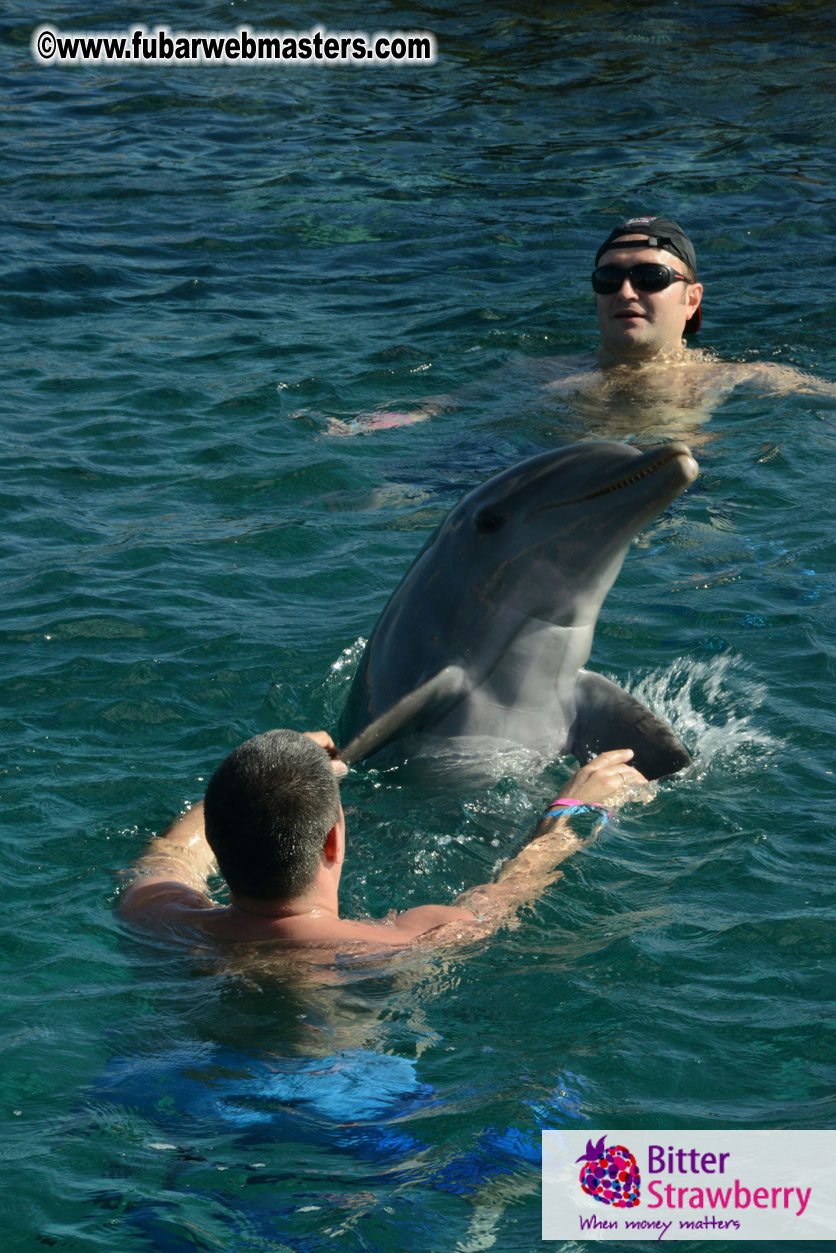 PussyCash Dolphin Swim 