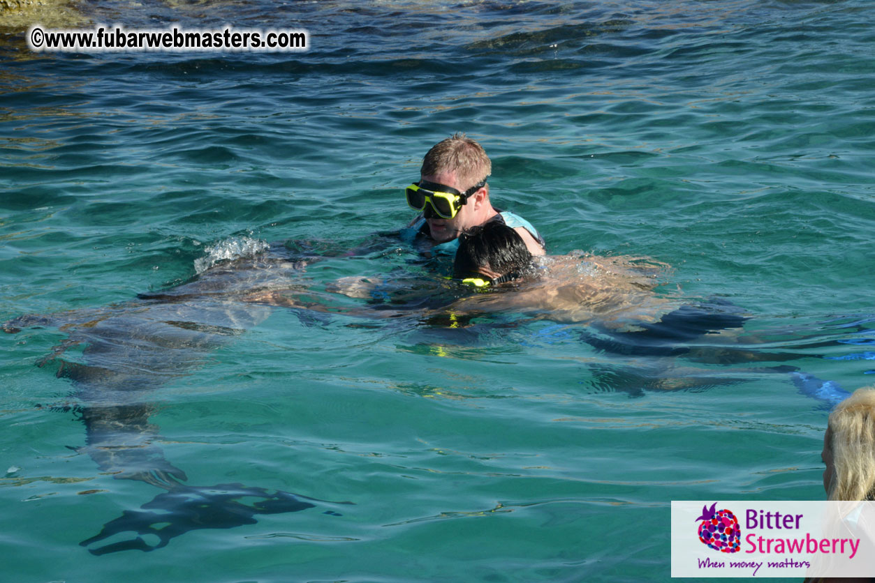 PussyCash Dolphin Swim 