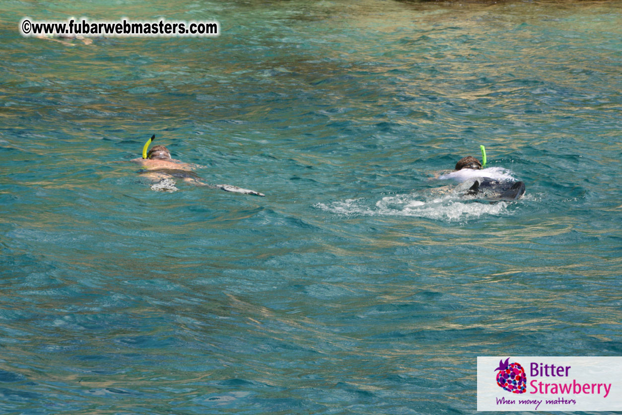 Sailing and Snorkeling Adventure