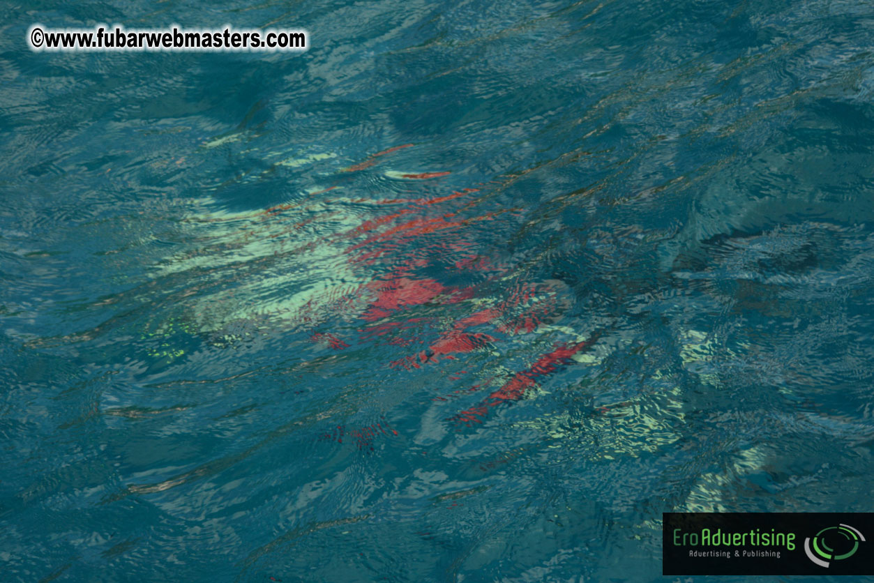 Sailing and Snorkeling Adventure