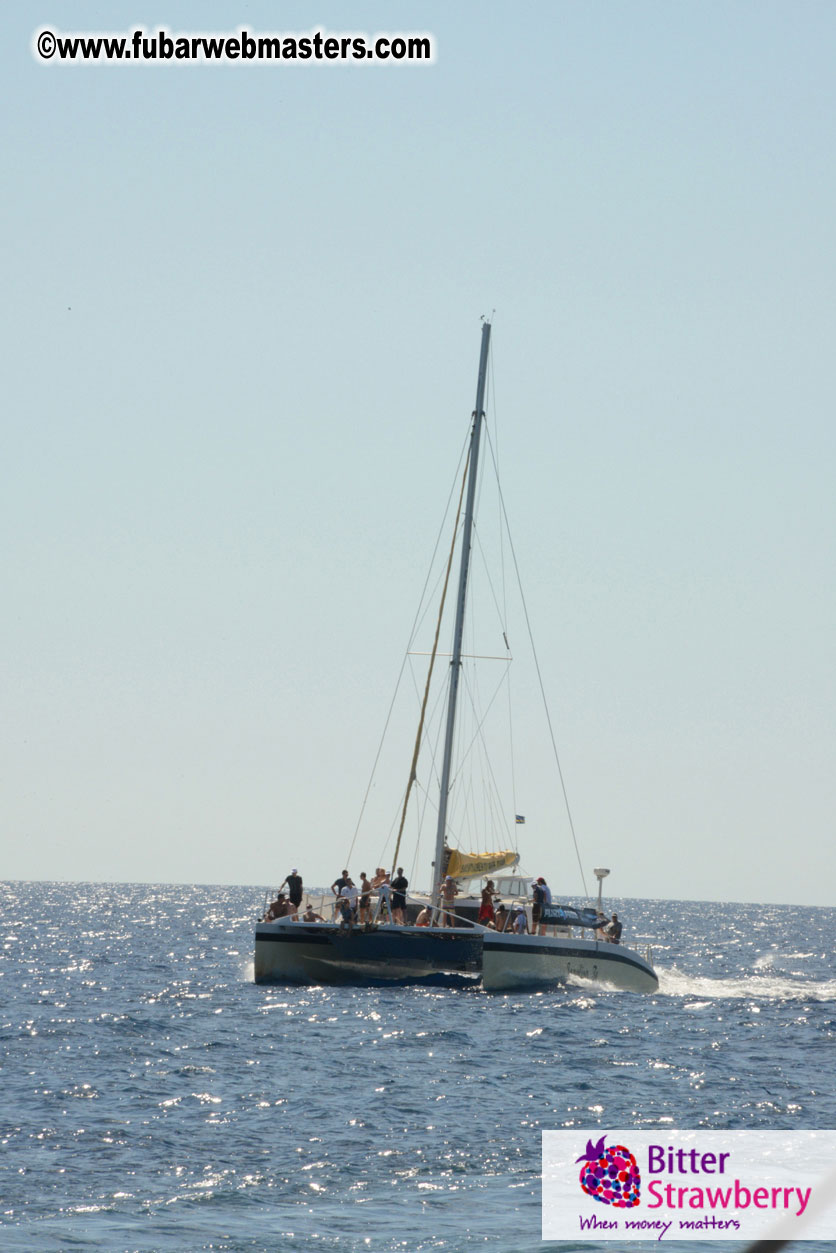 Sailing and Snorkeling Adventure