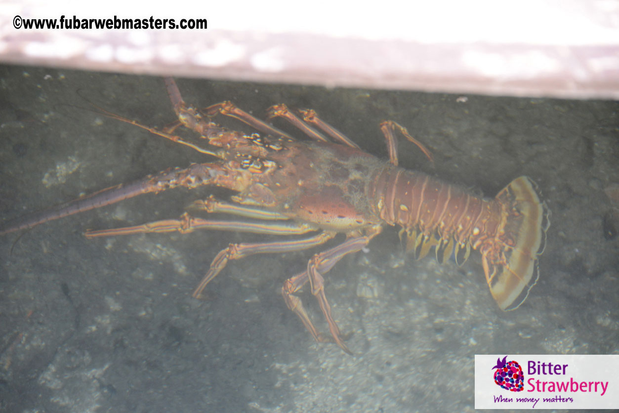 Sailing and Snorkeling Adventure