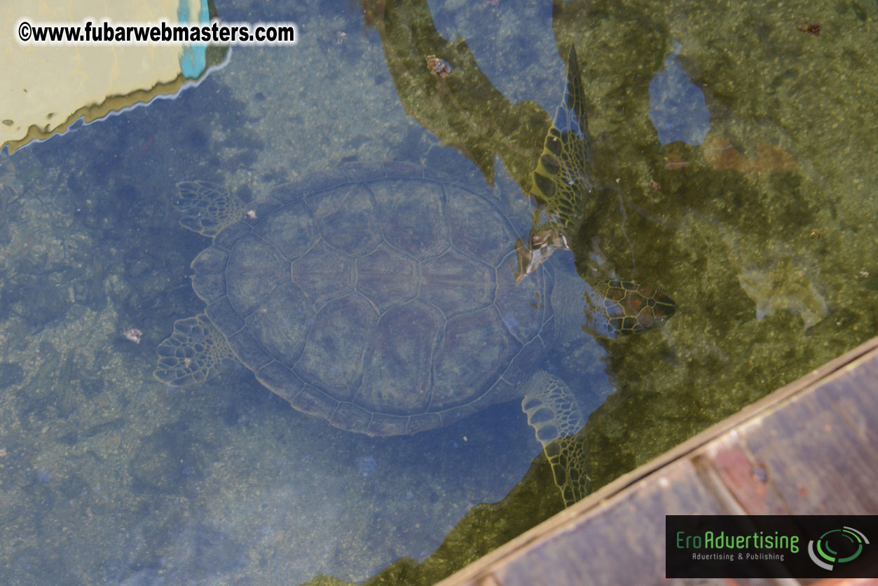 Sailing and Snorkeling Adventure