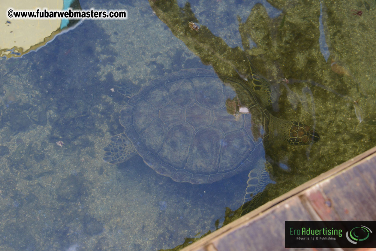 Sailing and Snorkeling Adventure