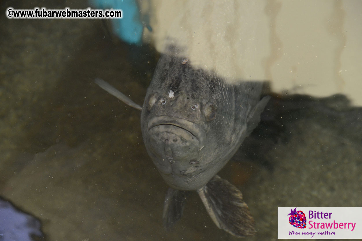 Sailing and Snorkeling Adventure