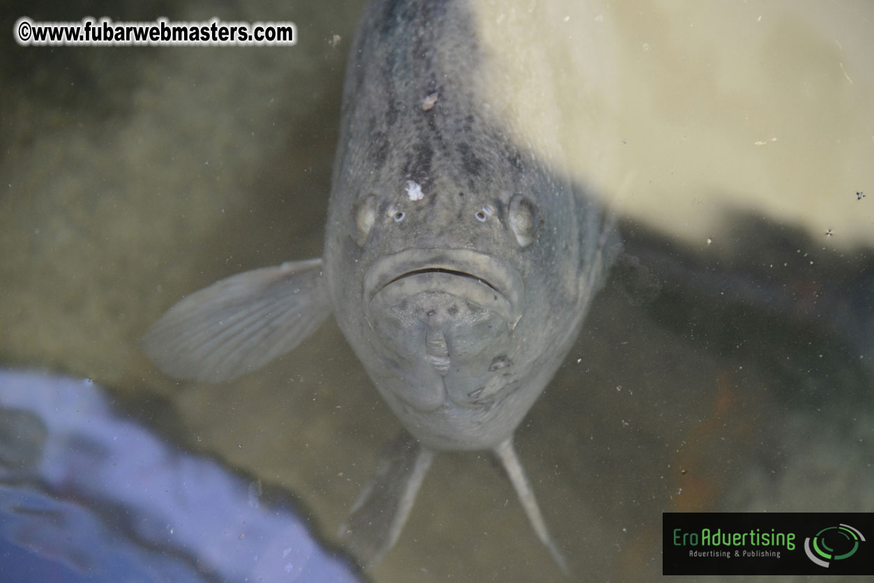 Sailing and Snorkeling Adventure