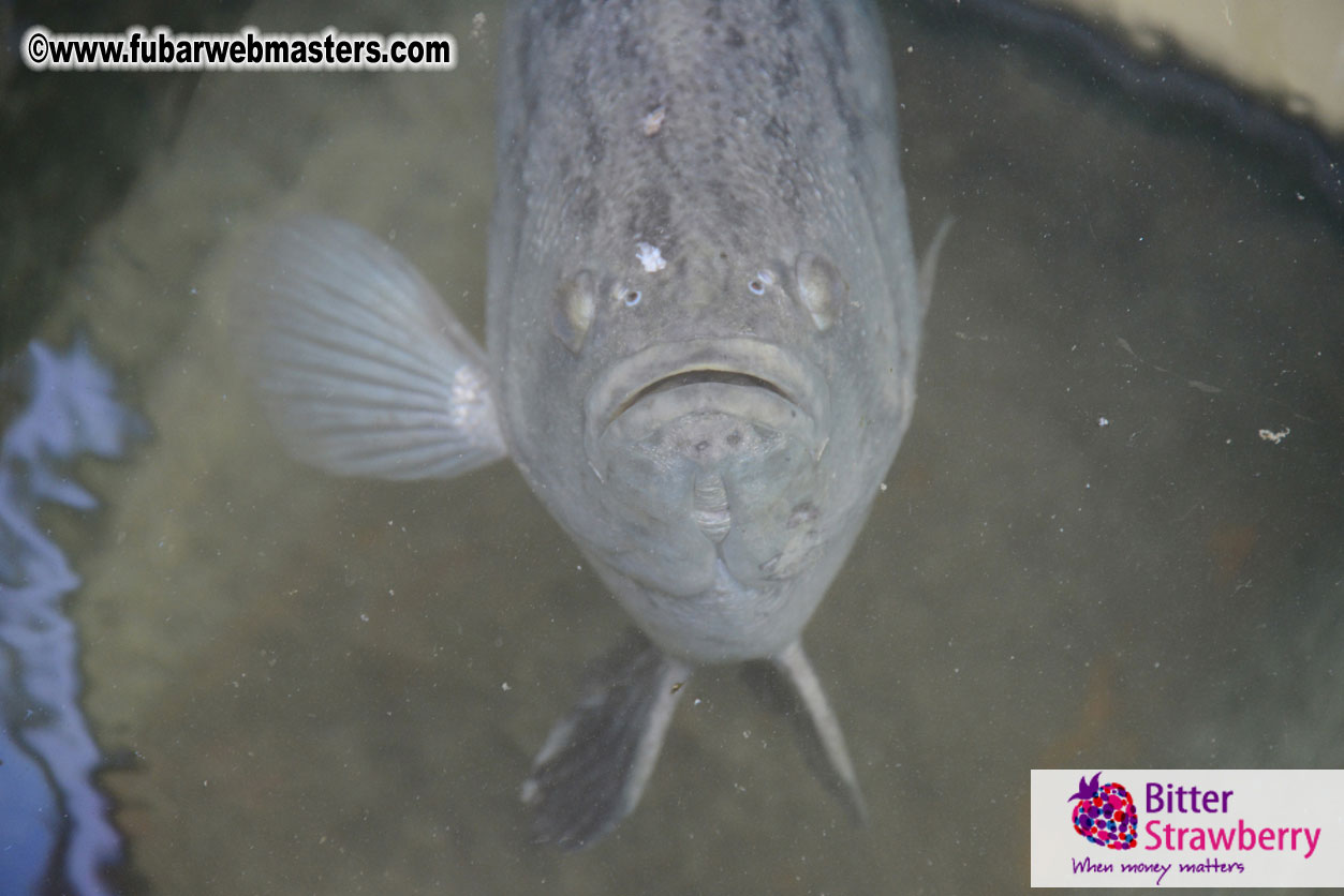 Sailing and Snorkeling Adventure