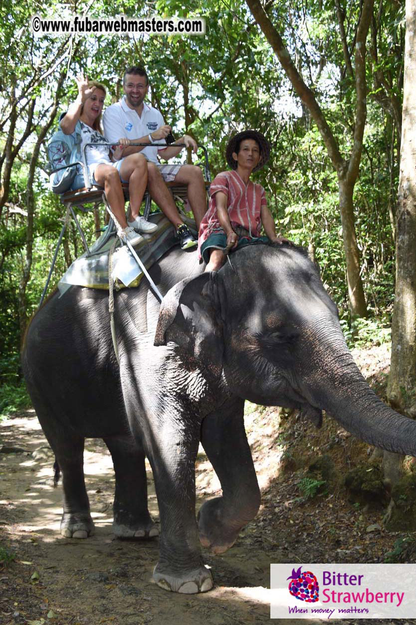 Elephant Safari 